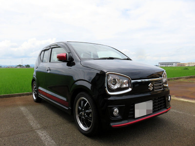 alto 01.jpg