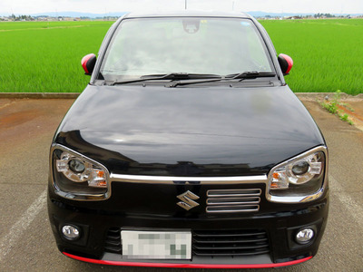 alto 06.jpg