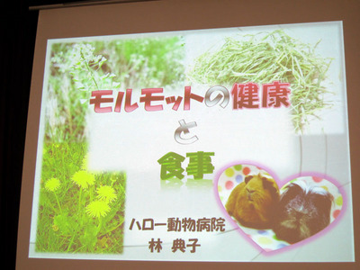 bunkasai 157.jpg