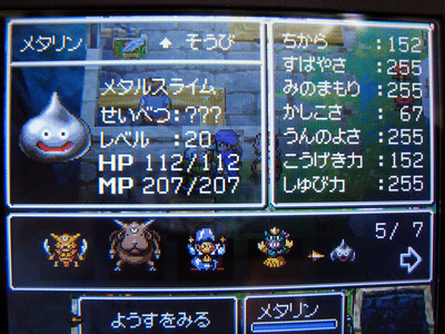 dq5 04.jpg