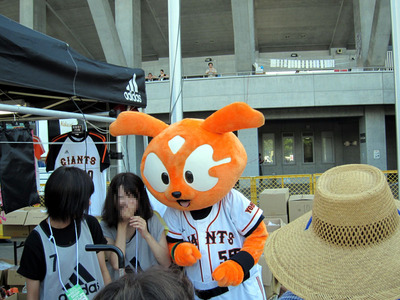 giabbit.jpg
