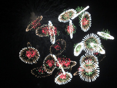 hanabi 02.jpg