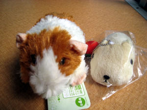 moru&kapi.jpg