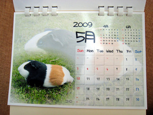 morucalendar 02.jpg