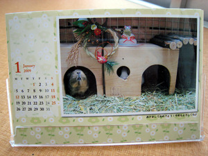 morucalendar 03.jpg