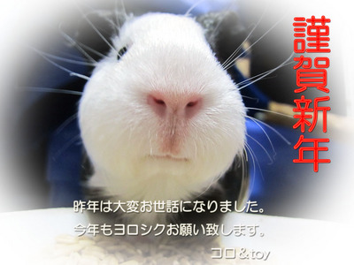 nengajyou 01.jpg