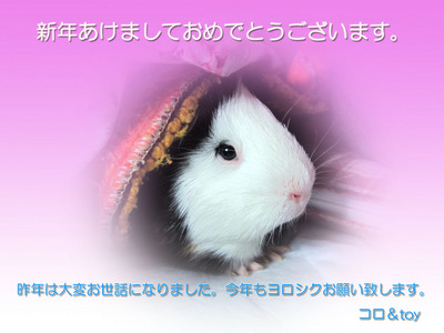 nengajyou 02.jpg