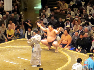 sumo 04.jpg